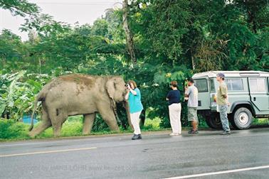 11 Thailand 2002 F1060032 Khao Lak Ausflug Khao Sok_478